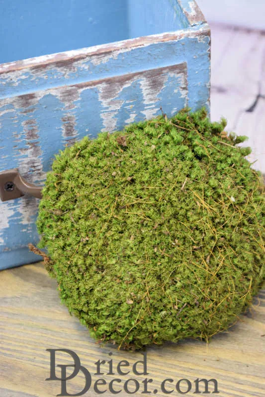 Mood Moss - Natural