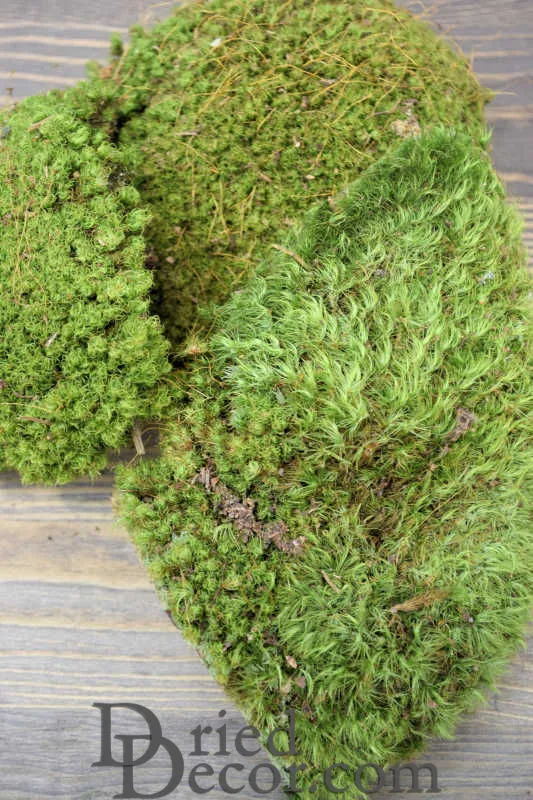 Mood Moss - Natural