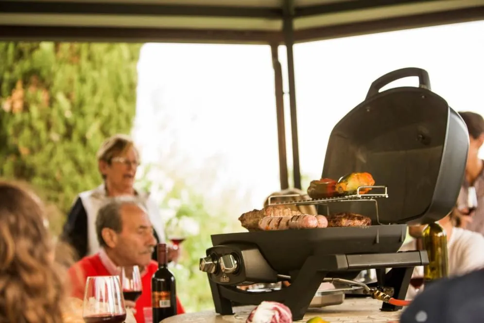 Napoleon Bbq PRO285NBK TravelQ PRO285 Portable Gas Grill , Natural Gas Propane, Black