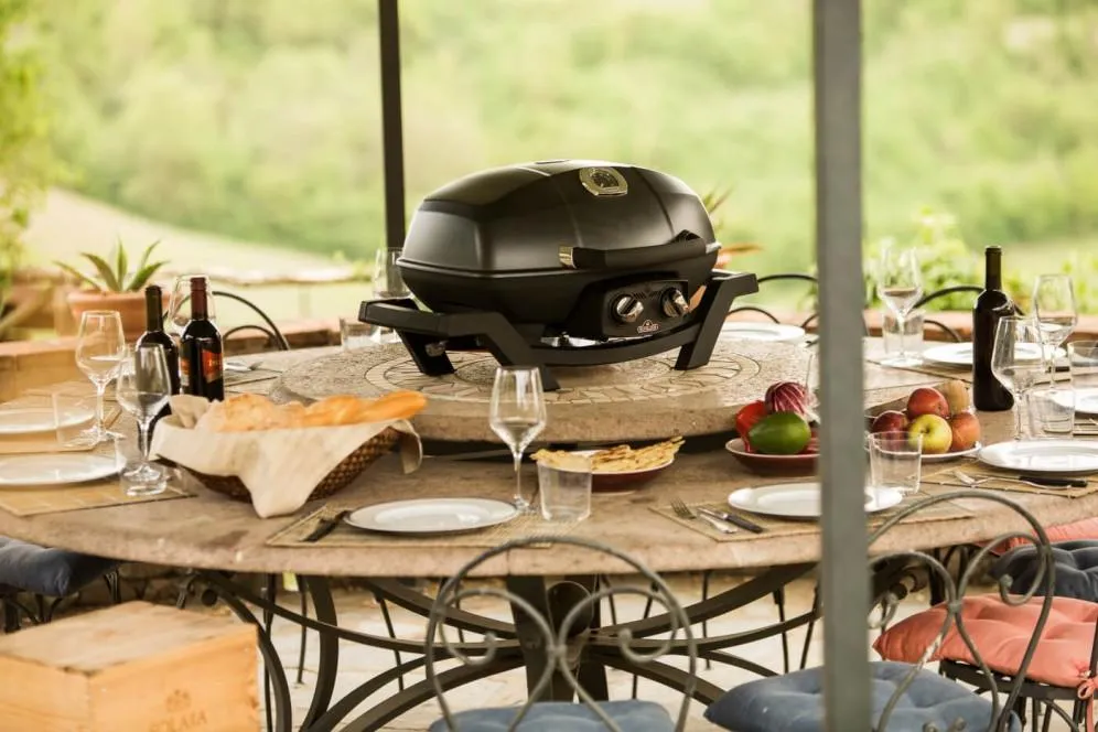 Napoleon Bbq PRO285NBK TravelQ PRO285 Portable Gas Grill , Natural Gas Propane, Black